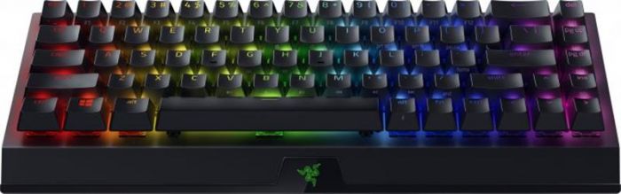 Клавіатура бездротова Razer BlackWidow V3 Mini Hyperspeed Green Switch Black (RZ03-03891600-R3R1)