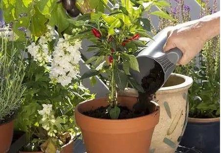 Комплект садових інструментів Gardena Classic Ergo (арт.8950, 8754, 11511) з ковшем (08966-30.000.00)