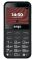 Мобiльний телефон Ergo R231 Dual Sim Black
