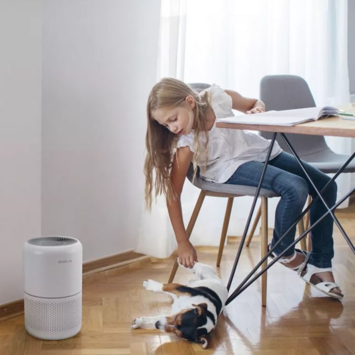 Очищувач повітря Levoit Air Purifier Core P350 Pet Care (HEAPAPLVNEU0035)