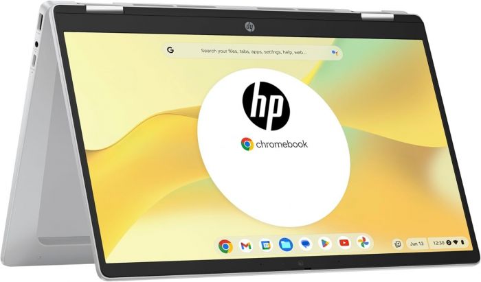 Ноутбук HP Chromebook x360 (198828598608) Silver