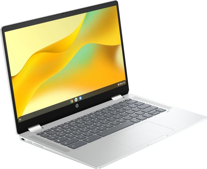 Ноутбук HP Chromebook x360 (198828598608) Silver