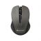 Миша бездротова Canyon CNE-CMSW1G Grey USB