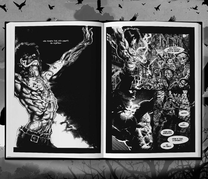 Ворон. Спеціальне видання + унікальна кінообкладинка / Джеймс О`Барр