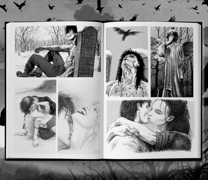 Ворон. Спеціальне видання + унікальна кінообкладинка / Джеймс О`Барр