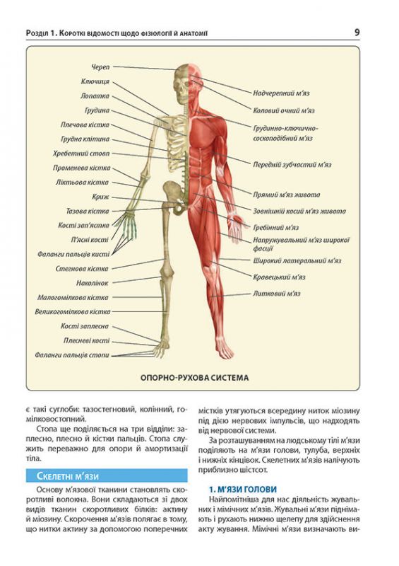 Екстрена допомога у разі ДТП. Посібник з порятунку