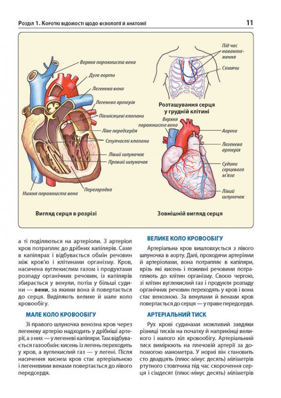 Екстрена допомога у разі ДТП. Посібник з порятунку