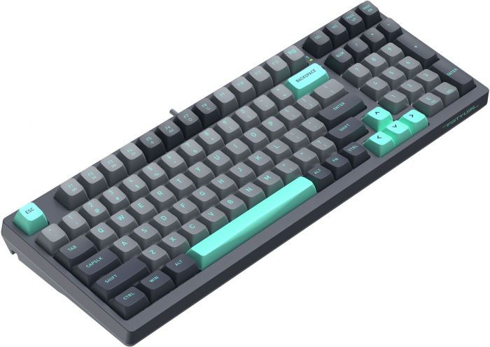 Клавіатура A4Tech Fstyler FS300 Panda Rock Climbing