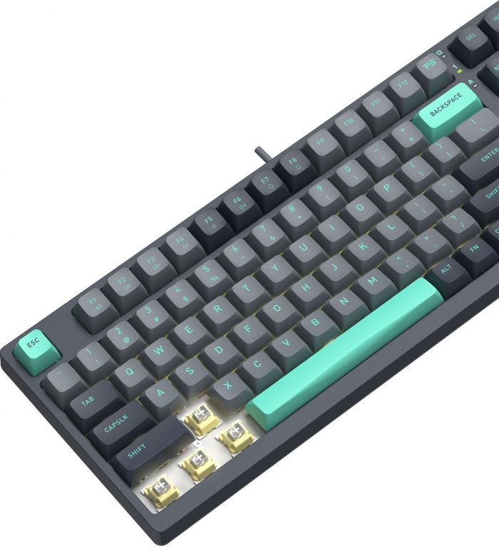 Клавіатура A4Tech Fstyler FS300 Panda Rock Climbing