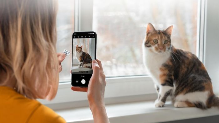 Карта пам`яті MicroSDXC  512GB UHS-I/U3 Class 10 Samsung Evo Plus R160MB/s + SD-адаптер (MB-MC512SA/EU)