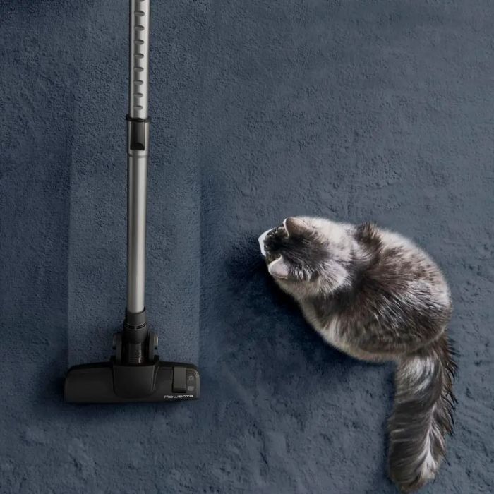 Пилосос Rowenta RO7C89EA