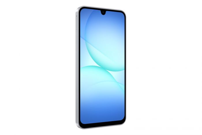 Смартфон Samsung Galaxy A17 SM-A175 8/256GB Gray (SM-A175FZAEEUC)