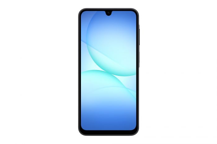 Смартфон Samsung Galaxy A17 SM-A175 8/256GB Black (SM-A175FZKEEUC)