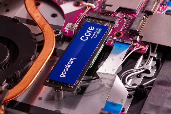 Накопичувач SSD 1TB Goodram Core M.2 2280 PCIe 5.0 x4 NVMe 3D NAND (SSDR-GRC01-1K0-80)